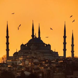 斯嘉丽换脸被❌超污网站
